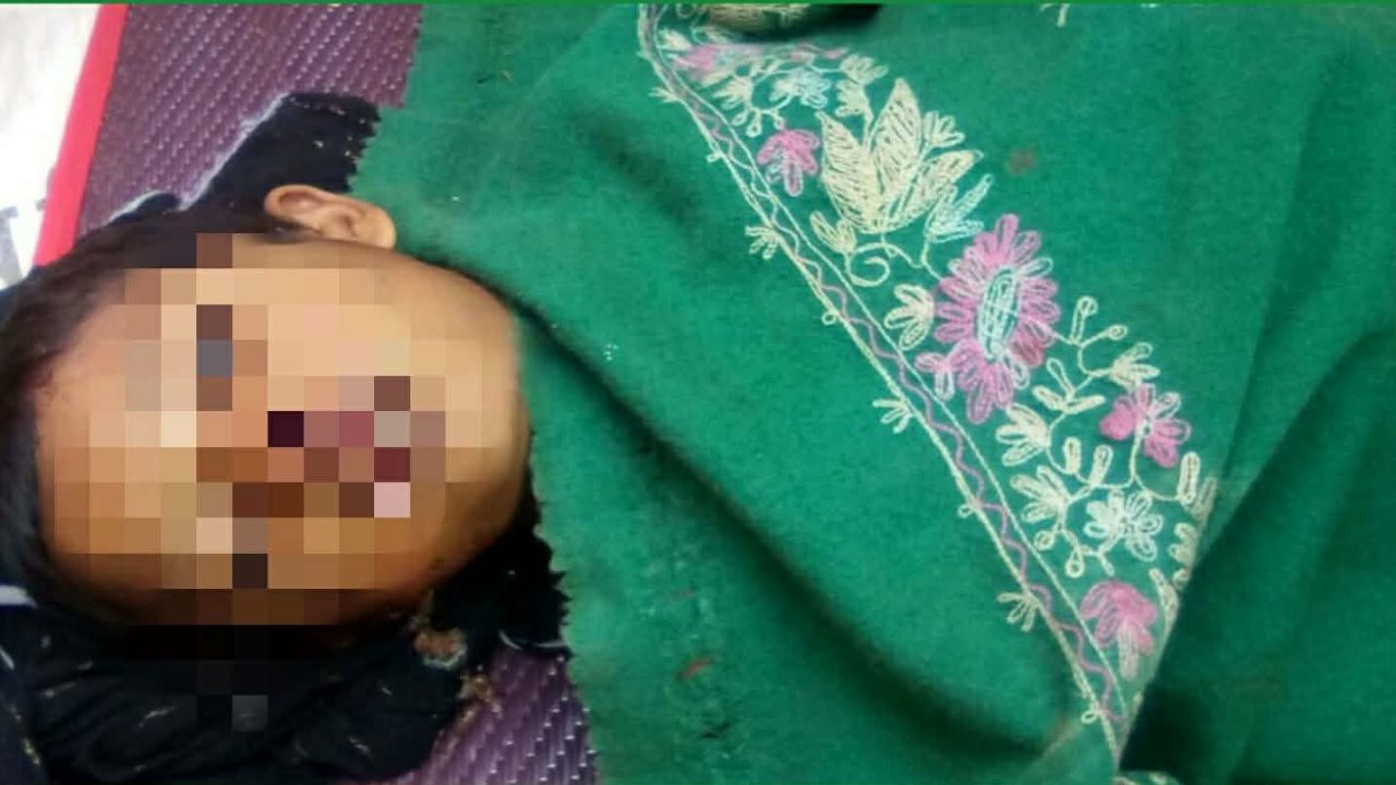 নালিতাবাড়ীতে অটোরিকশার চাপায় শিশু নিহত